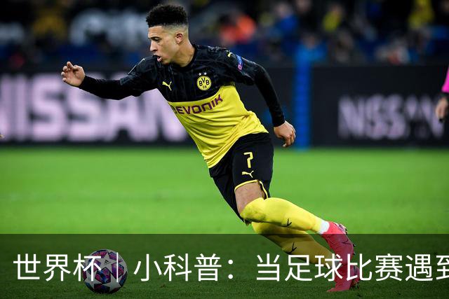 世界杯｜小科普：当足球比赛遇到雷暴预警